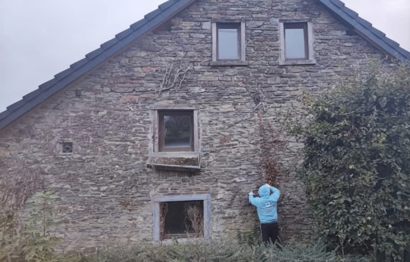 Pignon en pierre envahi par le lierre, joints ouverts